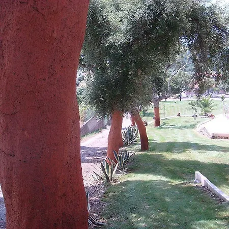 Residencia Santa Marta 3*