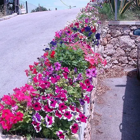 Residencia Santa Marta 3*